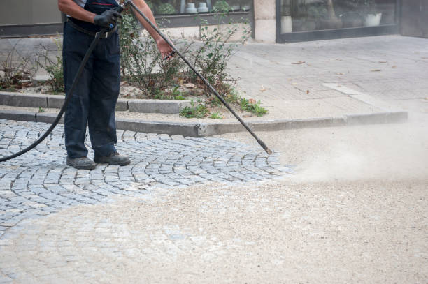 Best Animal Enclosure Cleaning  in Clarendon, TX